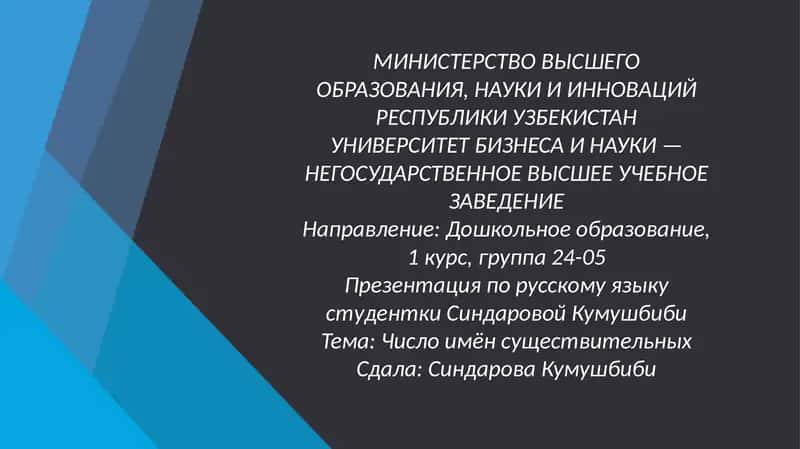Презентация по русскому языку студентки Синдаровой Кумушбиби 1
