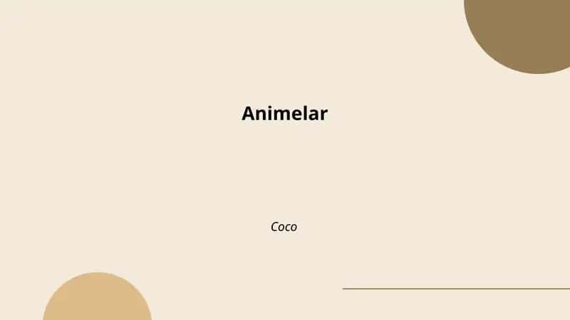 Animelar 1