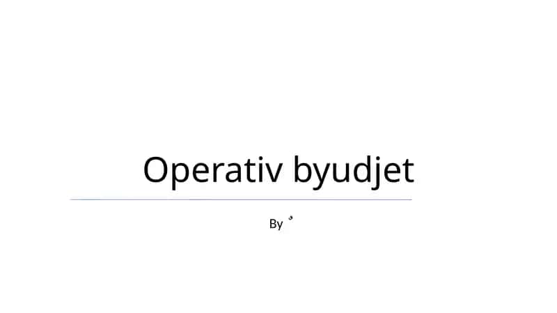 Operativ byudjet 1