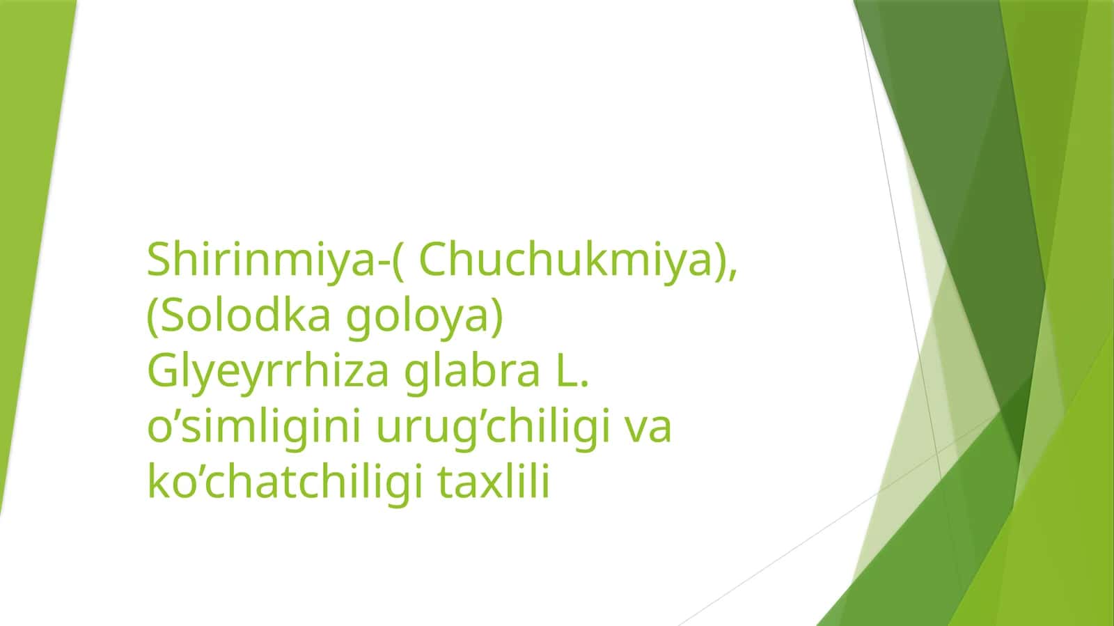 Shirinmiya 1