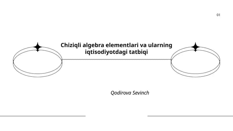 Chiziqli algebra elementlari va ularning iqtisodiyotdagi tatbiqi 1