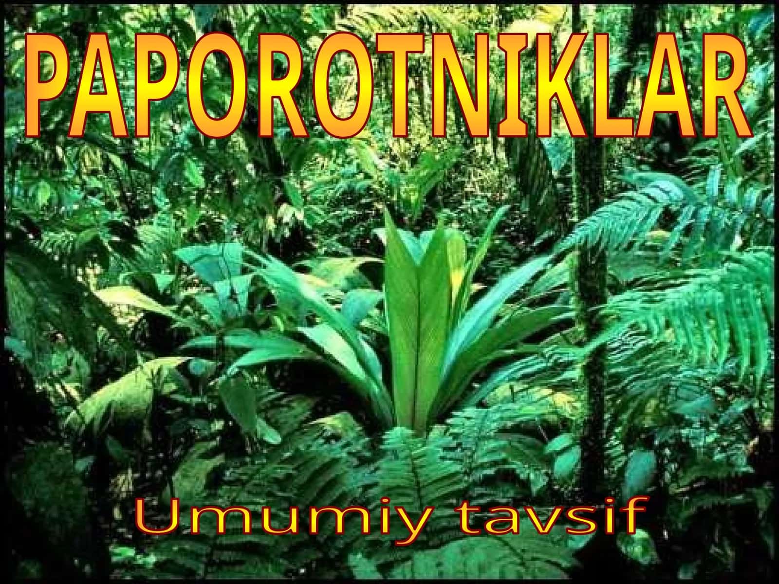 PAPOROTNIKLAR 1