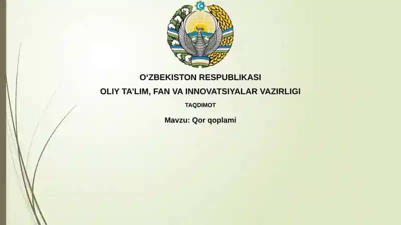 Qor qoplami 1