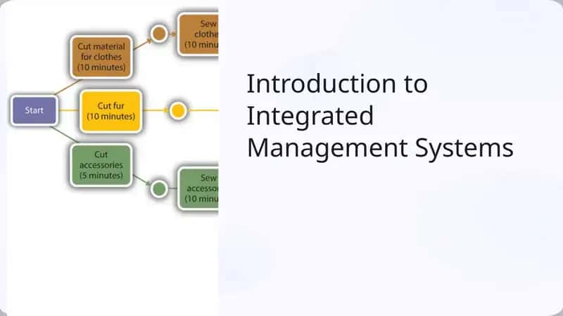 Introduction to Integrated Management Systems 1