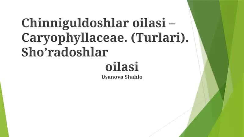 Chinniguldoshlar oilasi – Caryophyllaceae 1