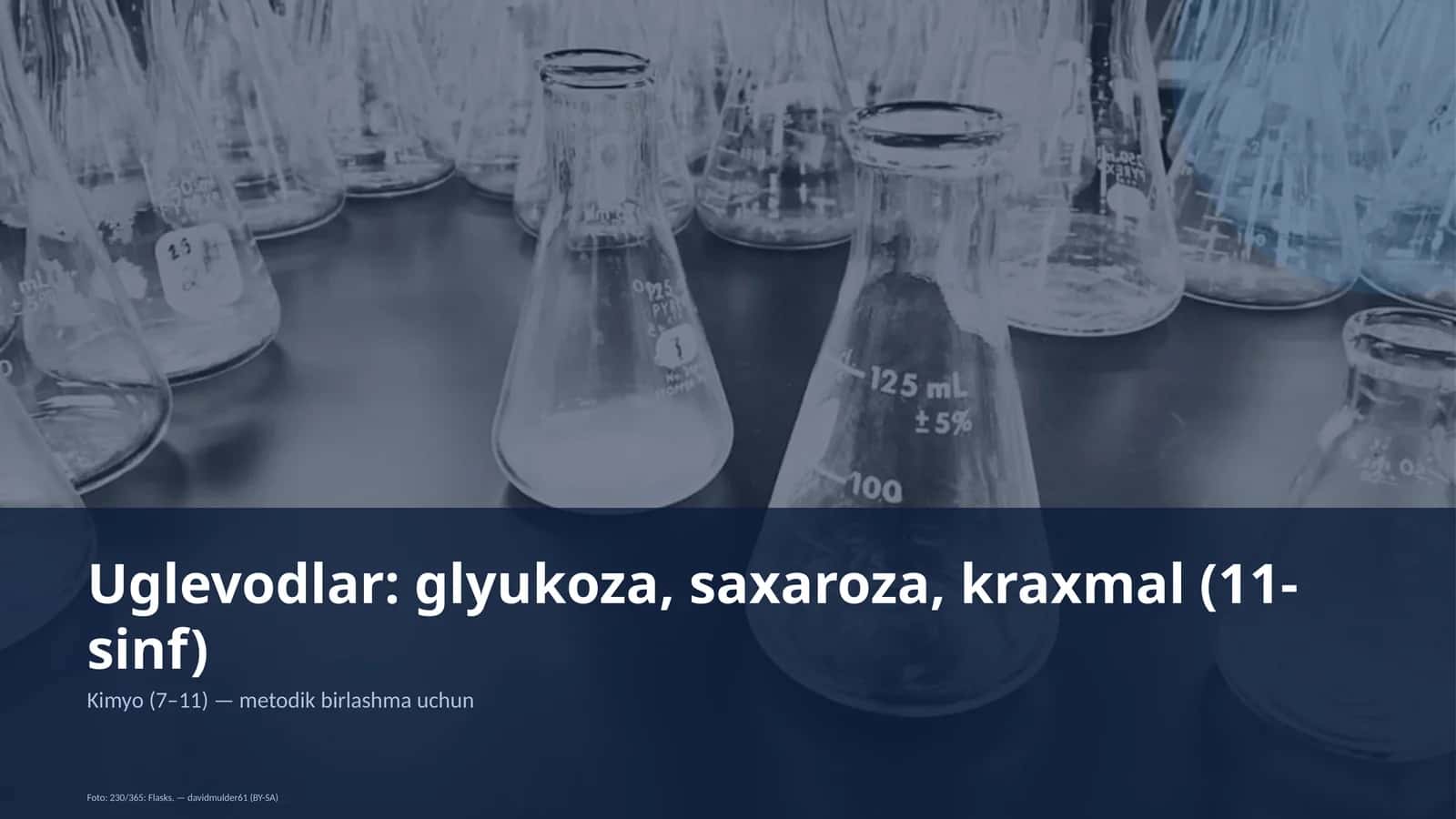 Uglevodlar: glyukoza, saxaroza, kraxmal (11-sinf) 1