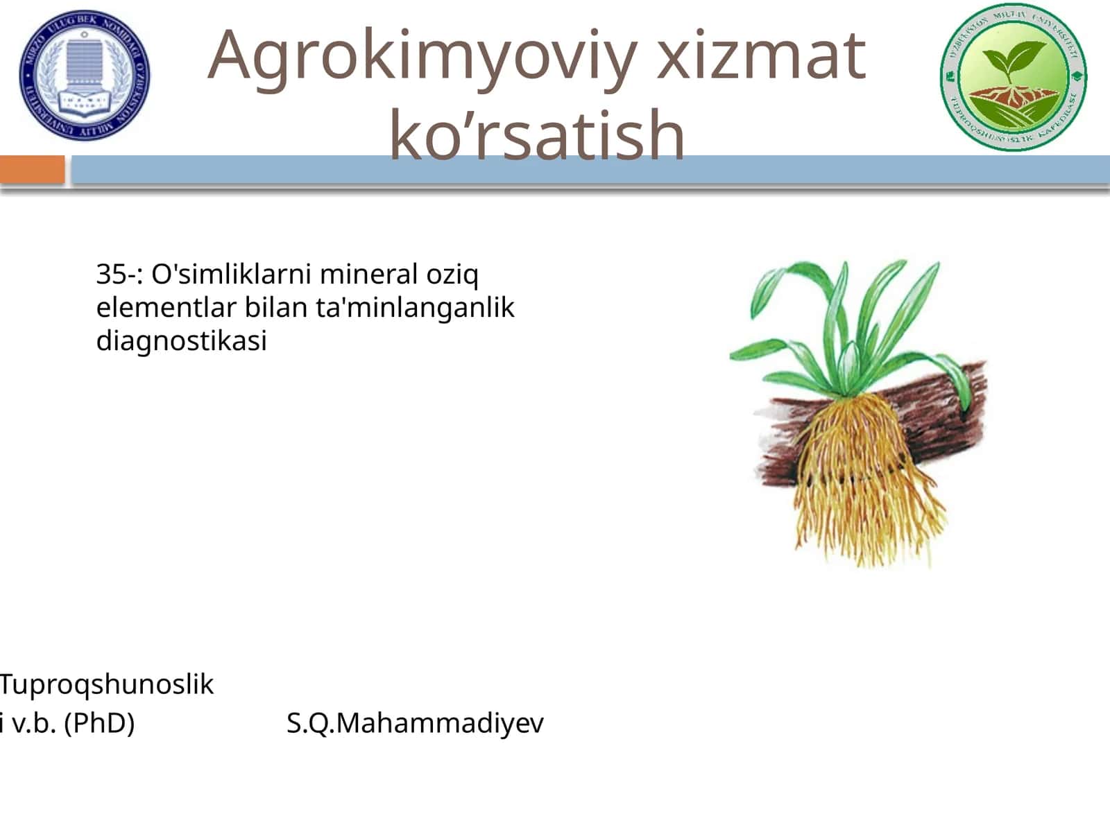O'simliklarni mineral oziq elementlar bilan ta'minlanganlik diagnostikasi 1