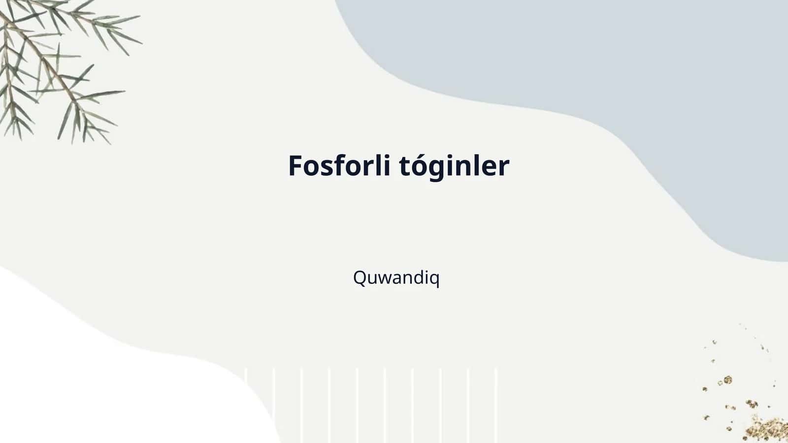 Fosforli tóginler 1
