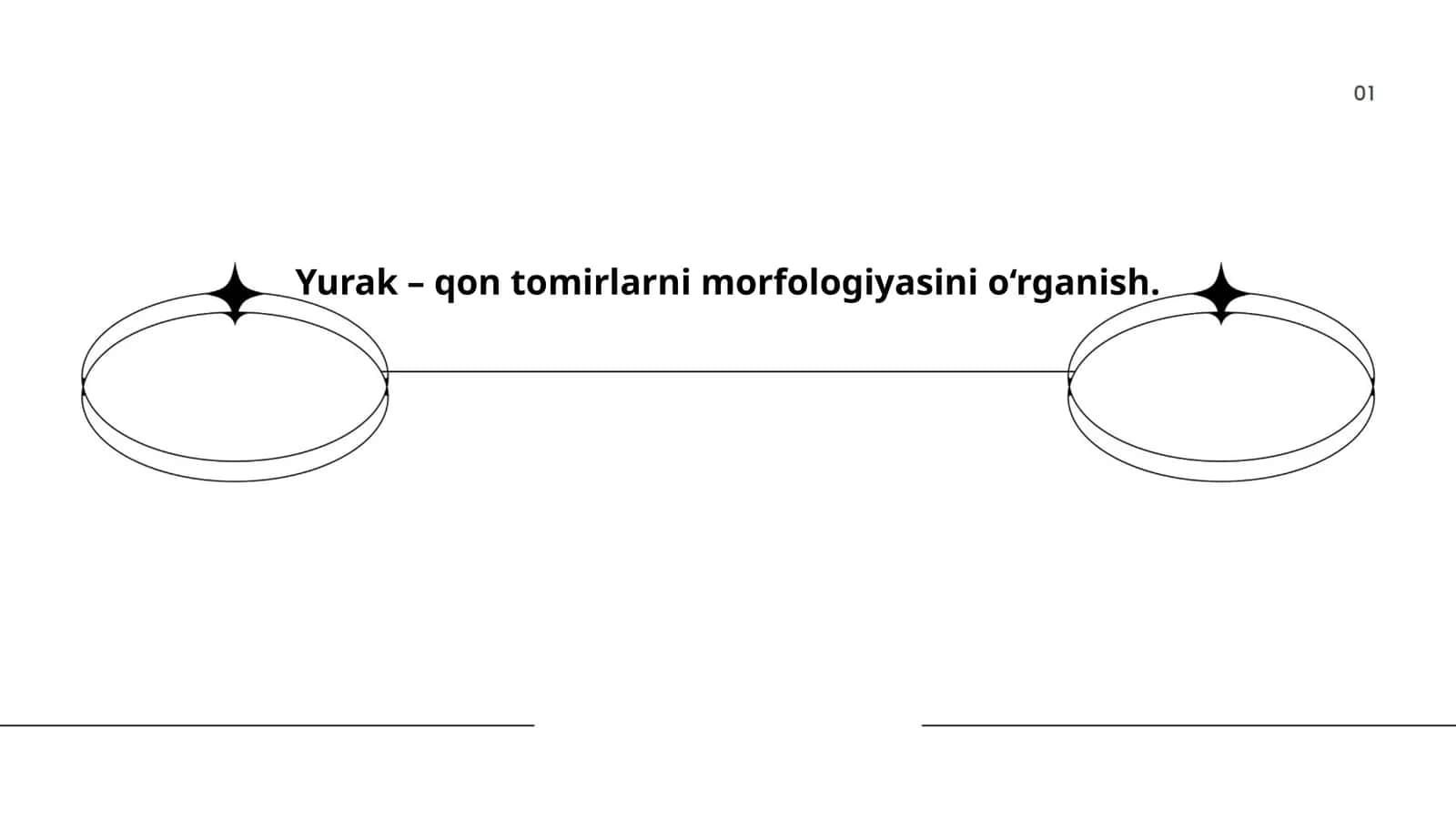 Yurak – qon tomirlarni morfologiyasini o‘rganish 1