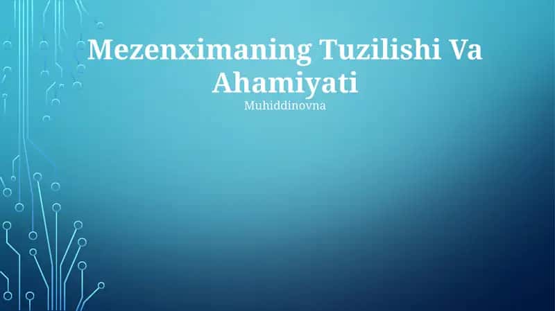 Mezenximaning Tuzilishi Va Ahamiyati 1