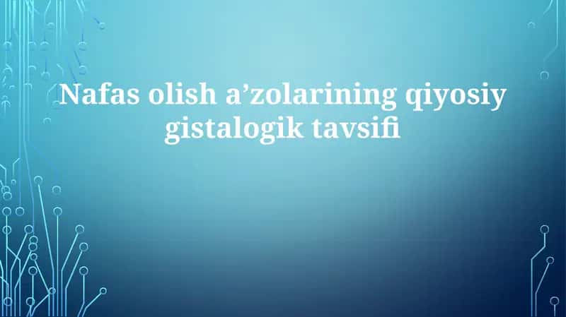 Nafasolishaʼzolarining qiyosiysgistalogik tavsifi 1