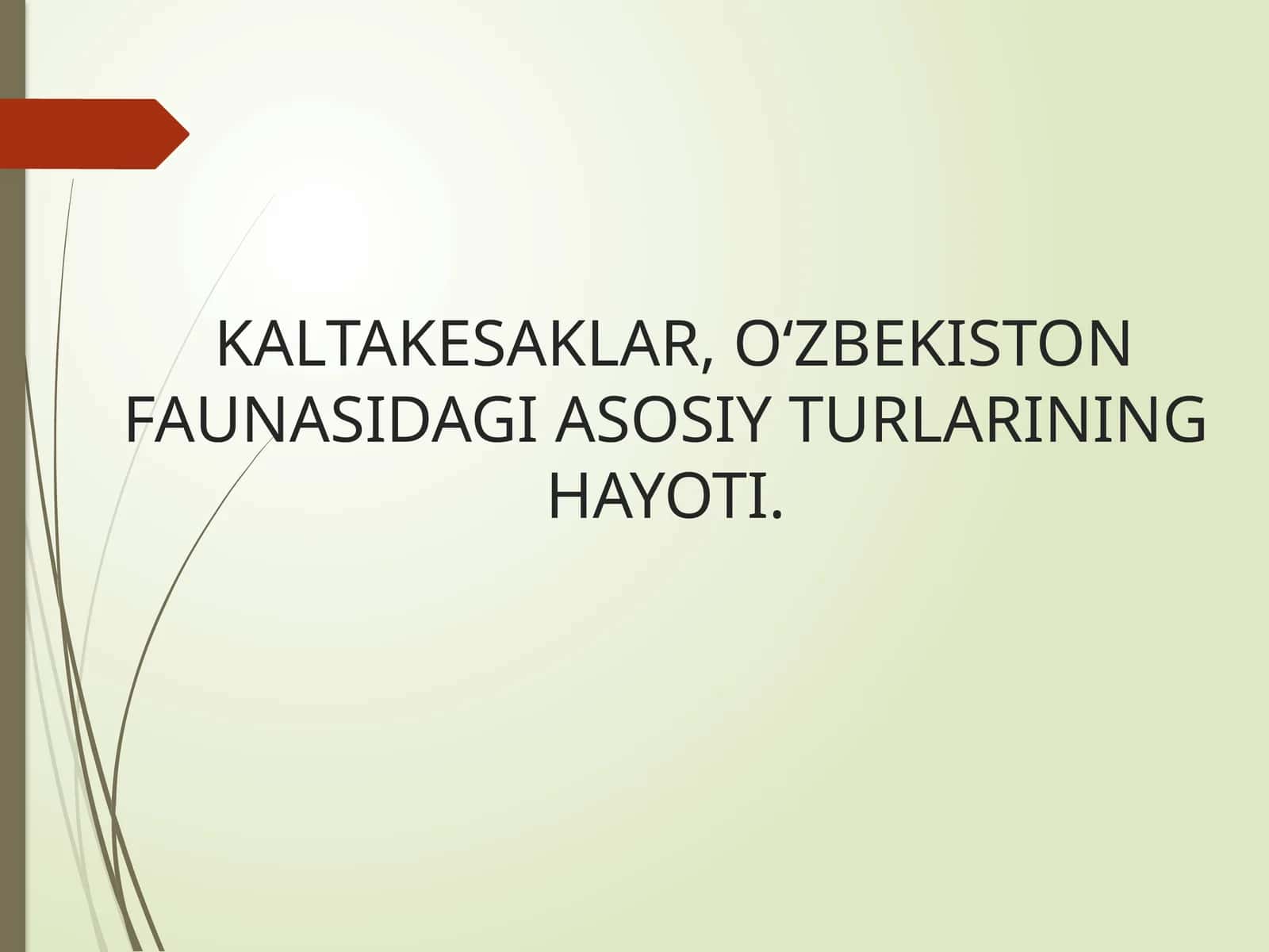 KALTAKESAKLAR,OʻZBEKISTON FAUNASIDAGI ASOSIY TURLARINING HAYOTI 1