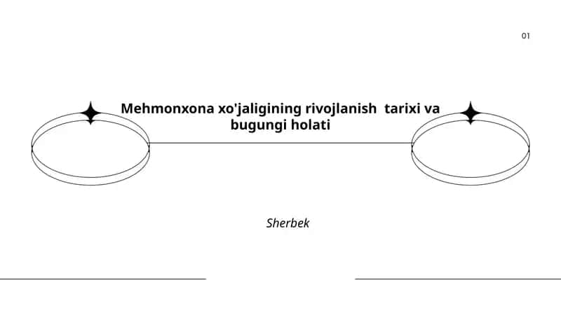 Mehmonxona xo'jaligining rivojlanish tarixi va bugungi holati 1