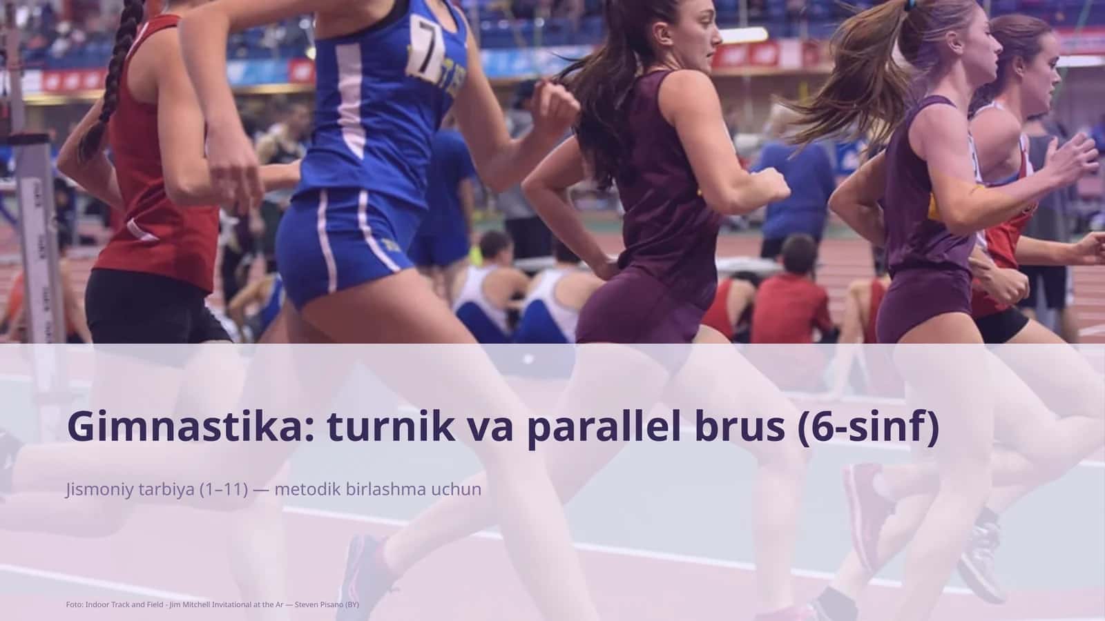 Gimnastika: turnik va parallel brus (6-sinf) 1