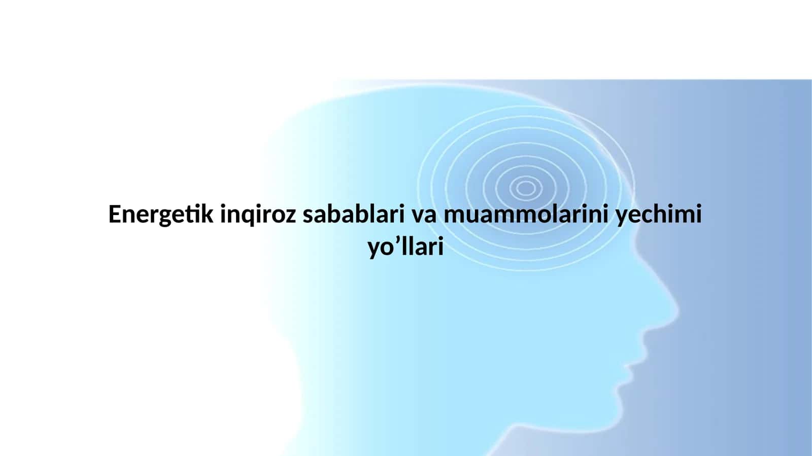 Energetik inqiroz sabablari va muammolarini yechimi yo’llari 1