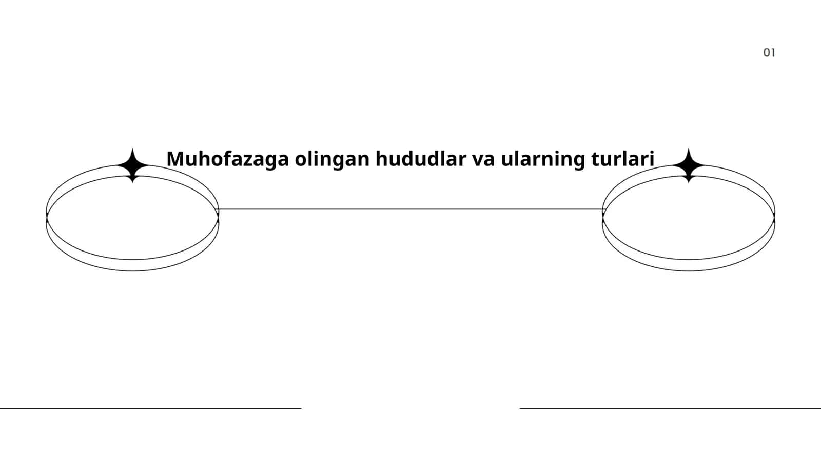 Muhofazaga olingan hududlar va ularning turlari 1