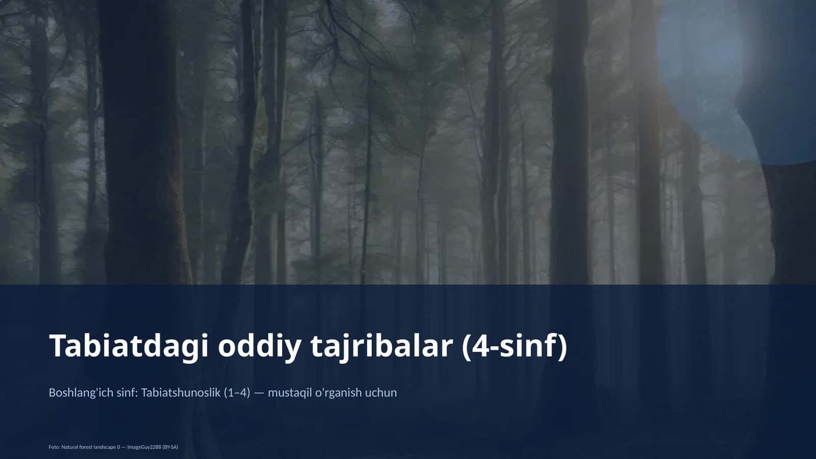 Tabiatdagi oddiy tajribalar (4-sinf) 1