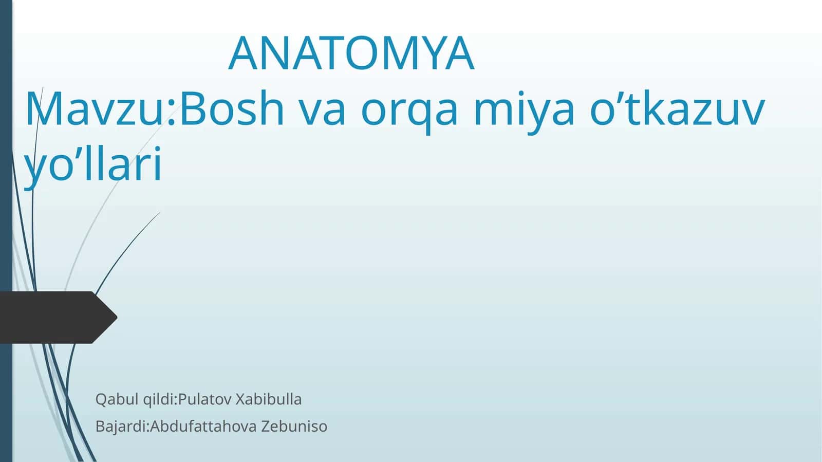Bosh va orqa miya o‘tkazuv yo‘llari 1
