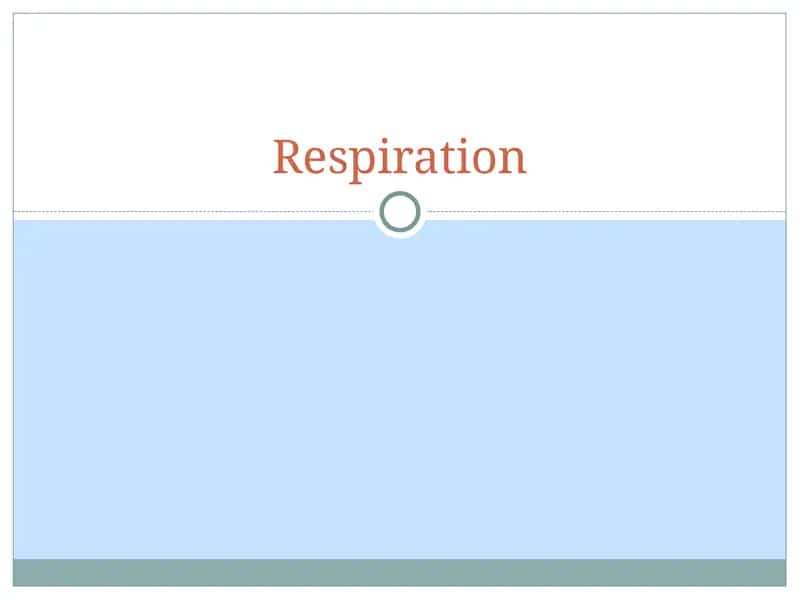 Respiration 1