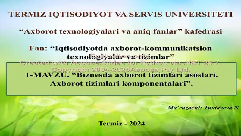 Biznesda axborot tizimlari asoslari. Axborot tizimlari komponentalari 1