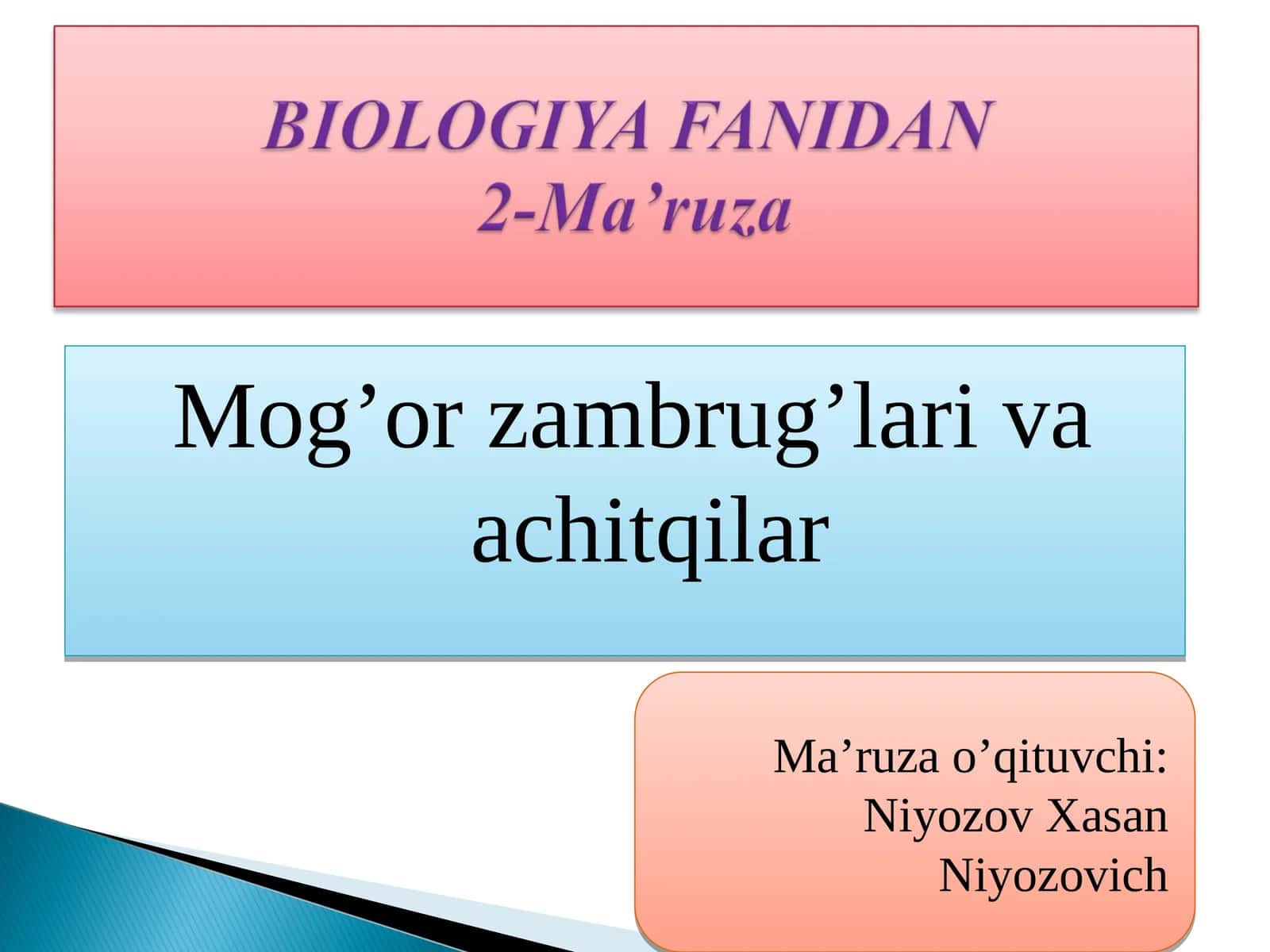 Mog’or zambrug’lari va achitqilar 1