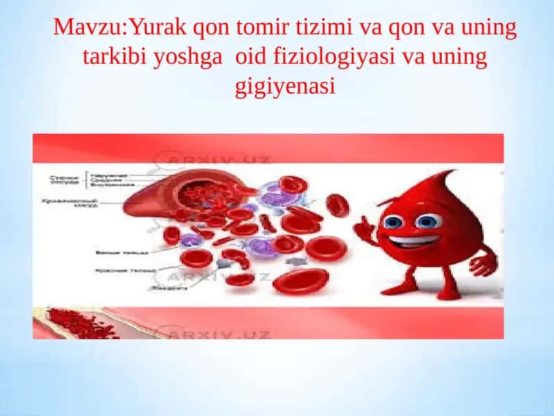 Yurak qon tomiri tuzilishi 1
