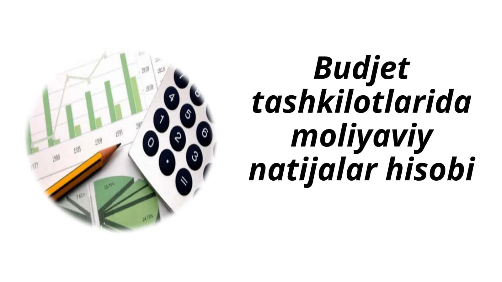 Budjet tashkilotlarida moliyaviy natijalar hisobi 1