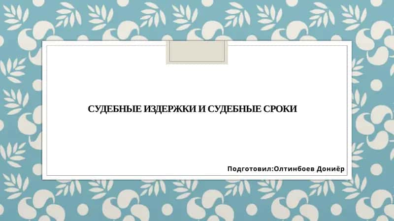 Судебные издержки и судебные сроки 1