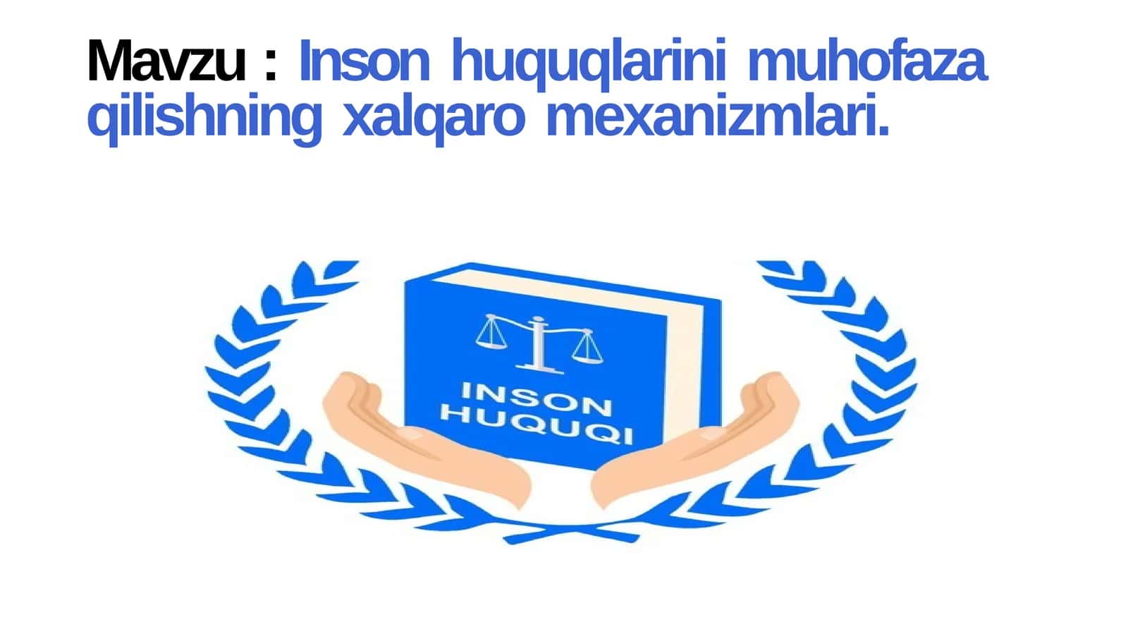 Inson huquqlarini muhofaza qilishning xalqaro mexanizmlari 1