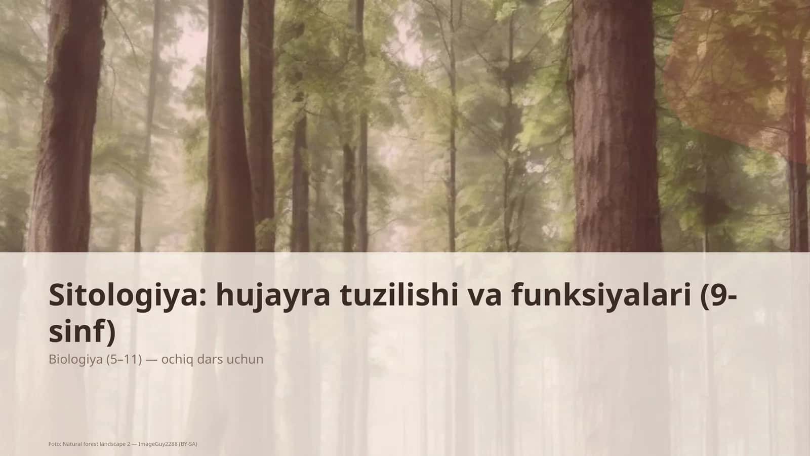 Sitologiya: hujayra tuzilishi va funksiyalari (9-sinf) 1