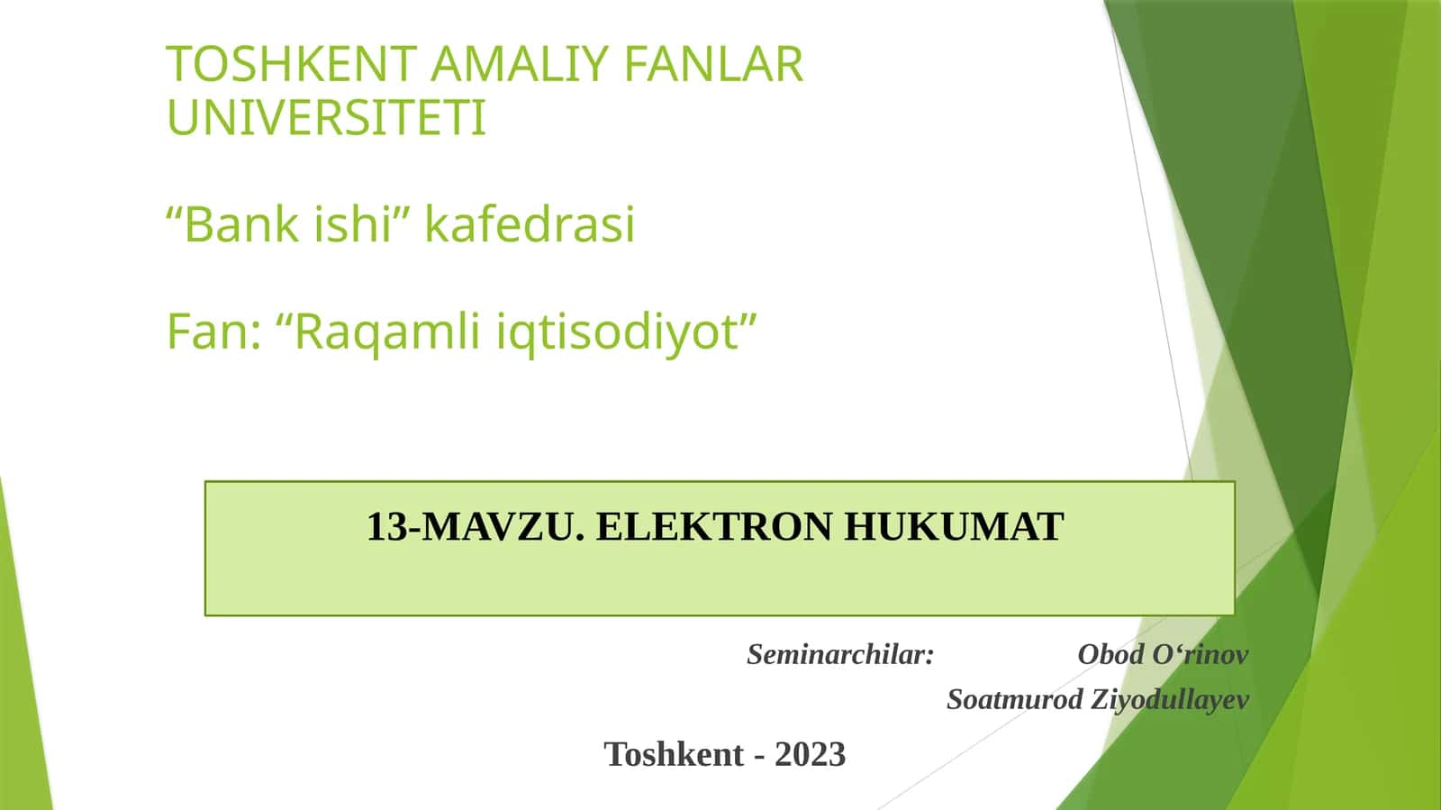 ELEKTRONHUKUMAT 1