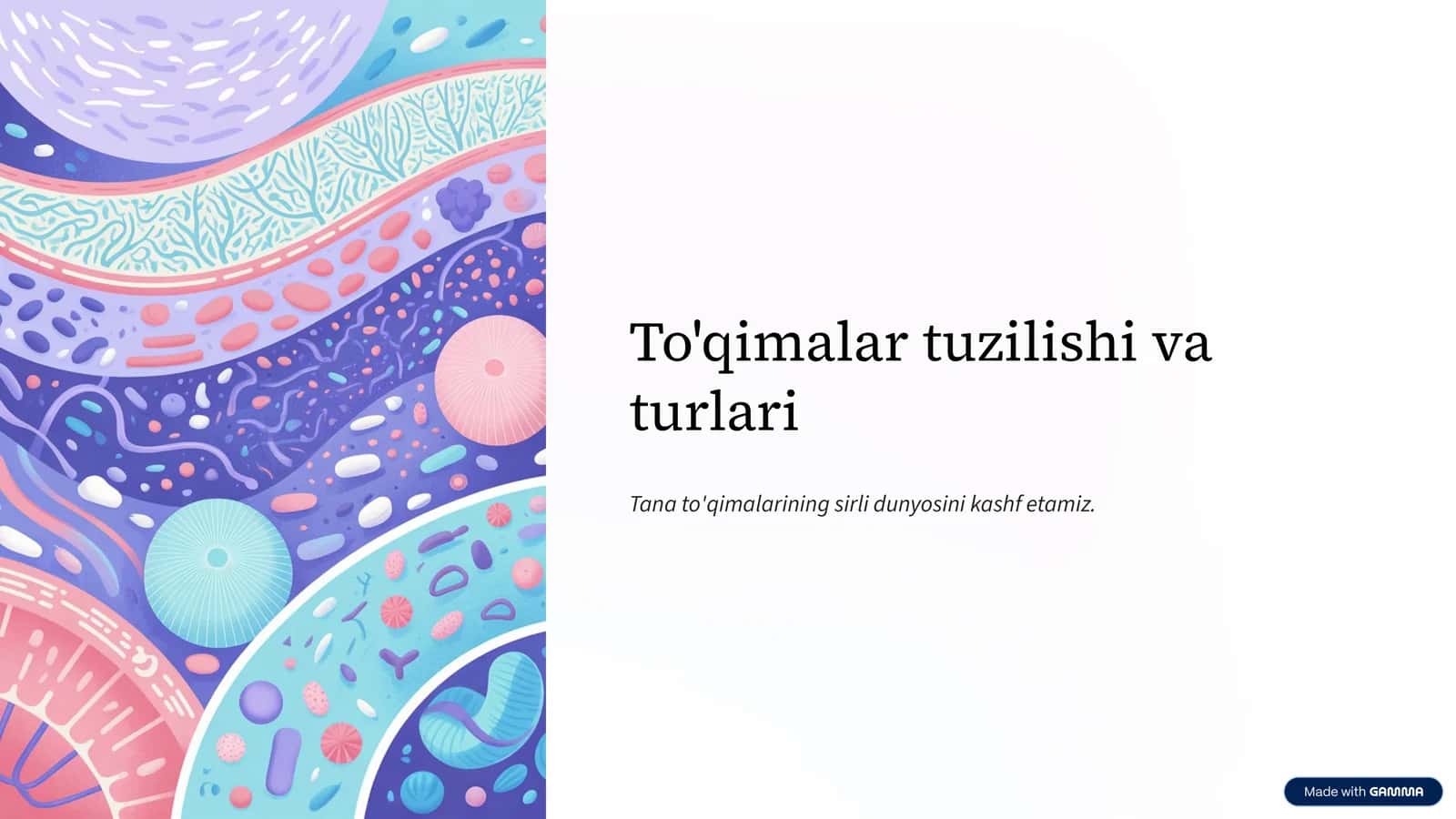 To'qimalar tuzilishi va turlari 1