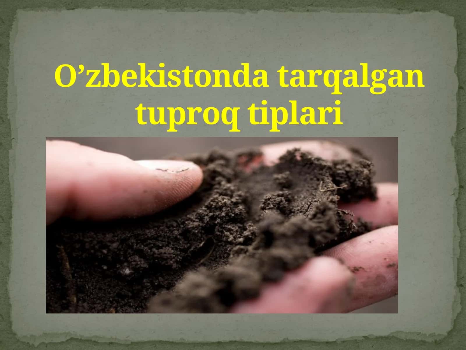 O’zbekistondatarqalgantuproqtiplari 1