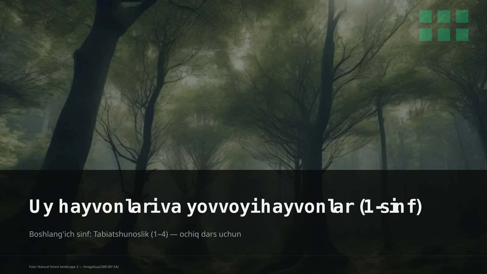 Uy hayvonlari va yovvoyi hayvonlar (1-sinf) 1