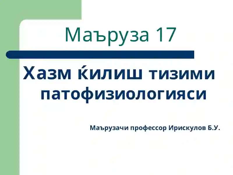 Хазм ќилиш тизими 1