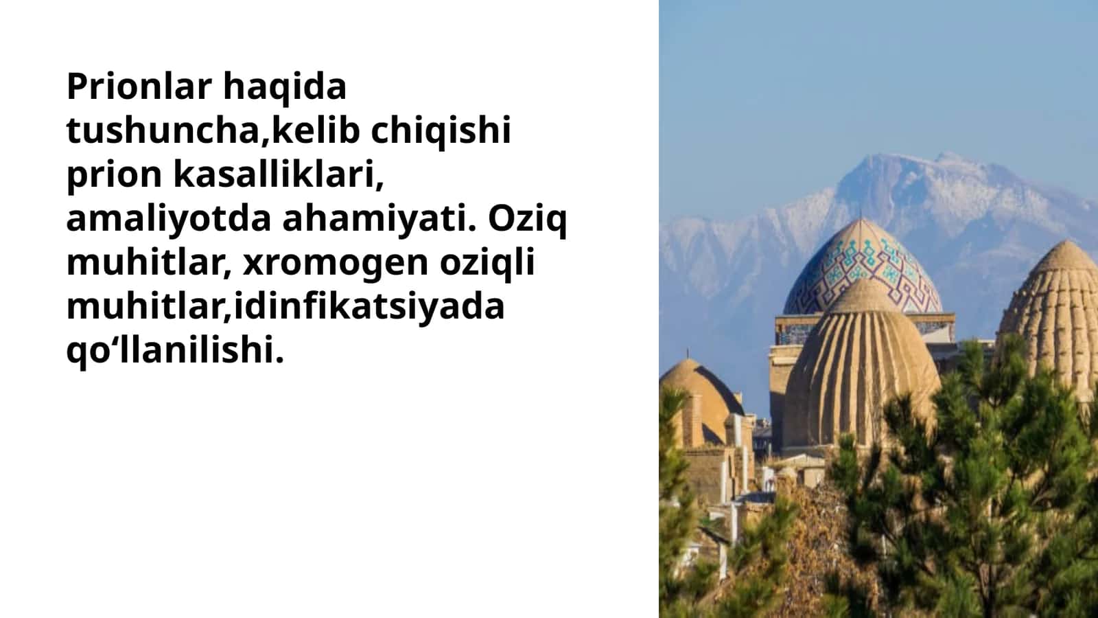 Prionlar haqida tushuncha,kelib chiqishi prion kasalliklari, amaliyotda ahamiyati. Oziq muhitlar, xromogen oziqli muhitlar,idinfikatsiyada qoʻllanilishi. 1