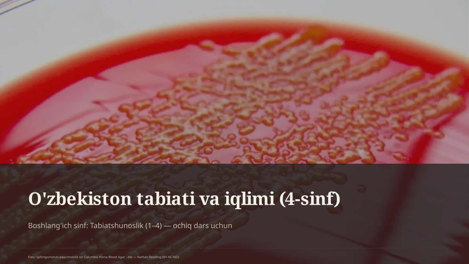 O'zbekiston tabiati va iqlimi (4-sinf) 1