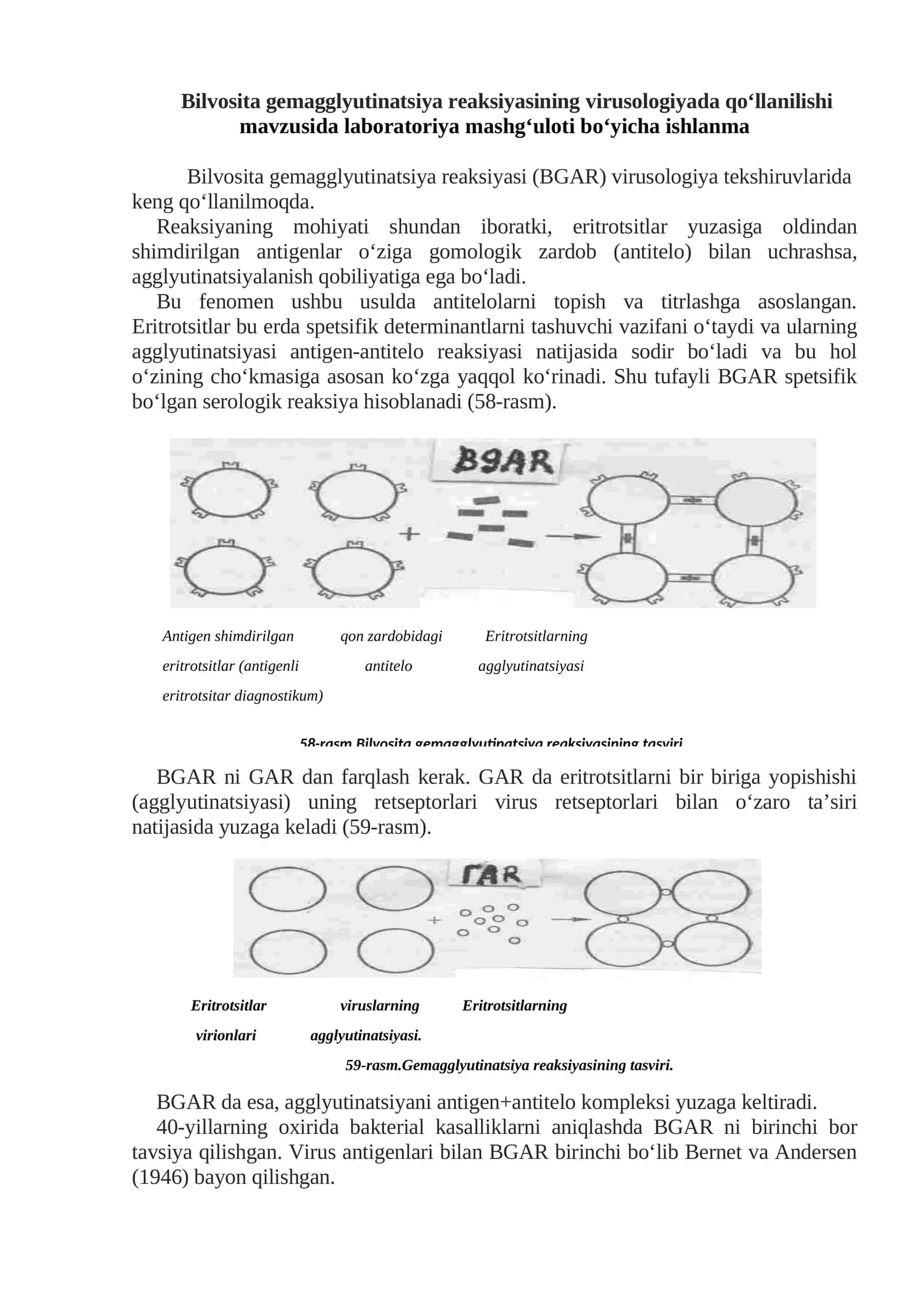 Bilvosita gemagglyutinatsiya reaksiyasi laboratoriya mashg'uloti 1