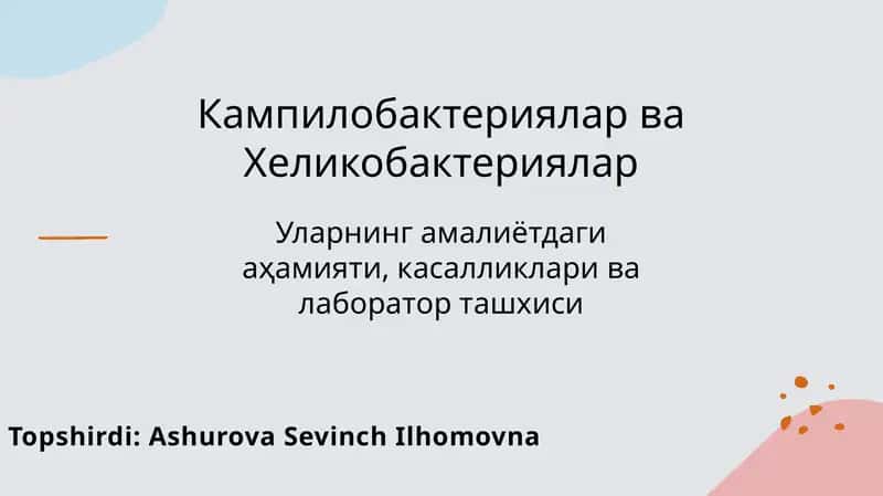 Кампилобактериялар ва Хеликобактериялар 1