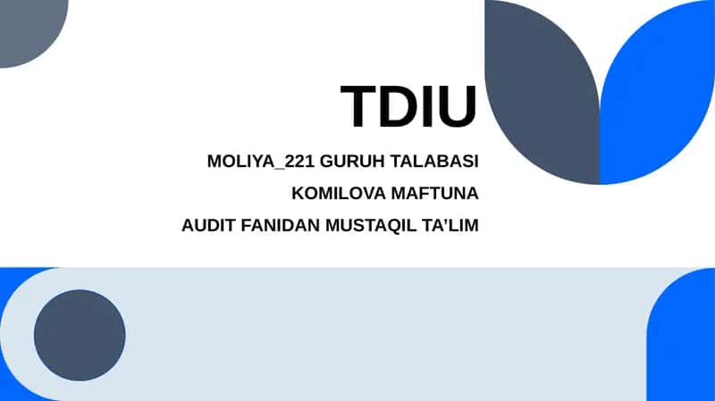 Auditorlik tekshruvi ishchi dasturi 1