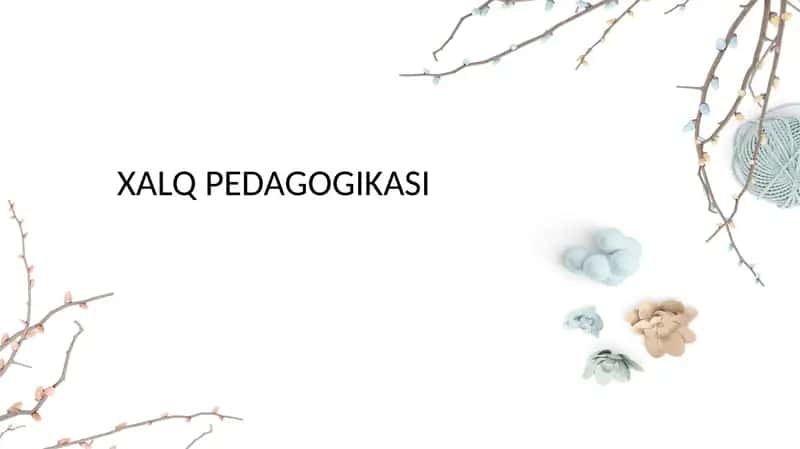 Ta'lim muassasalarida xalq pedagogikasi manbalarining o'rganilishi. 1