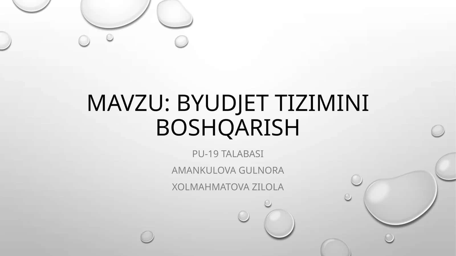 Byudjet tizimini boshqarish 1