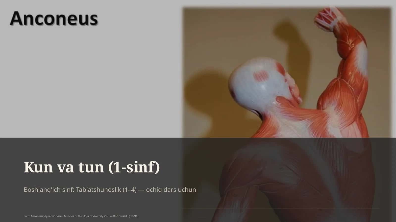 Kun va tun (1-sinf) 1