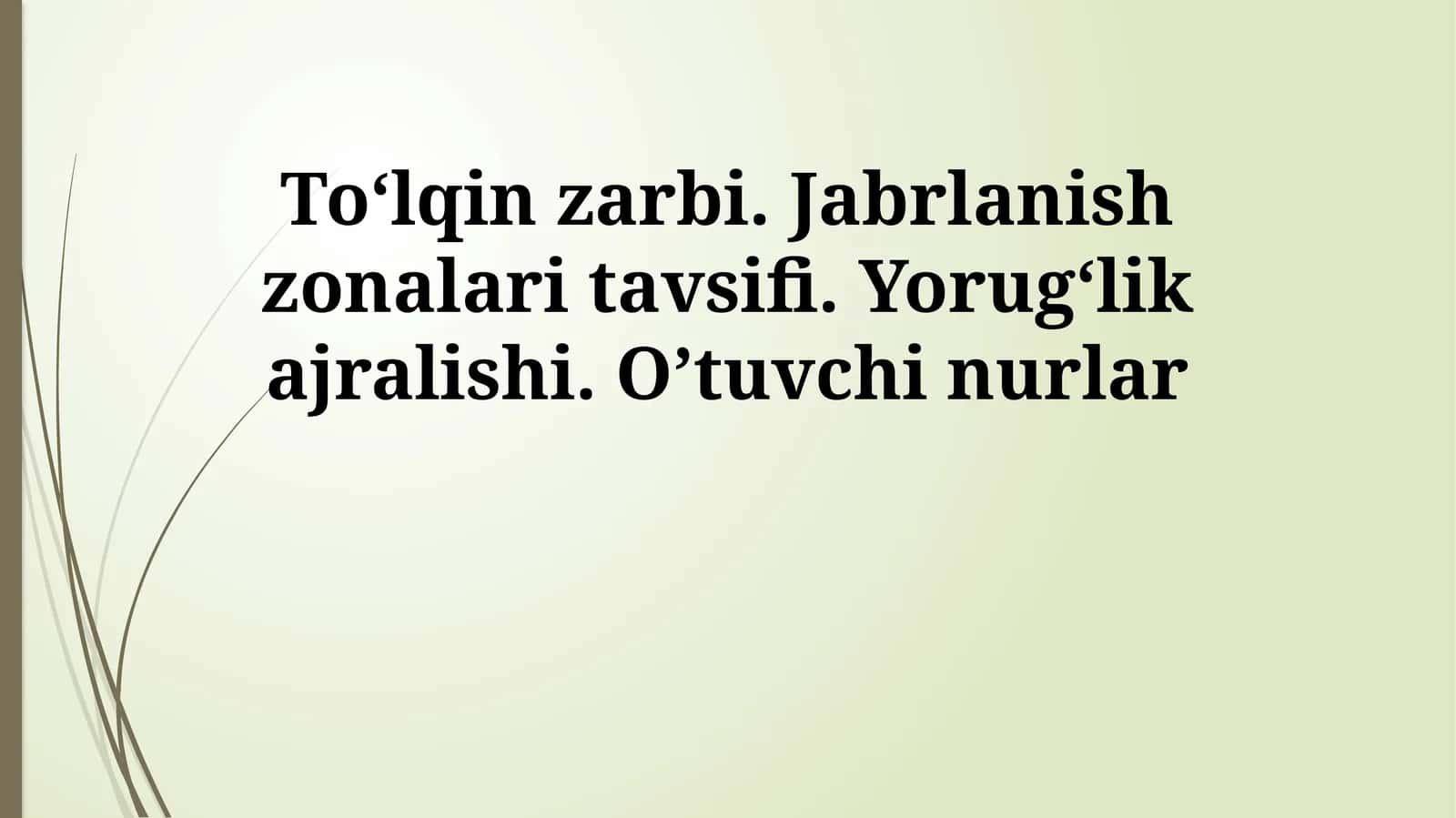 To‘lqin zarbi. Jabrlanish zonalari tavsifi. Yorug‘lik ajralishi. O’tuvchi nurlar 1