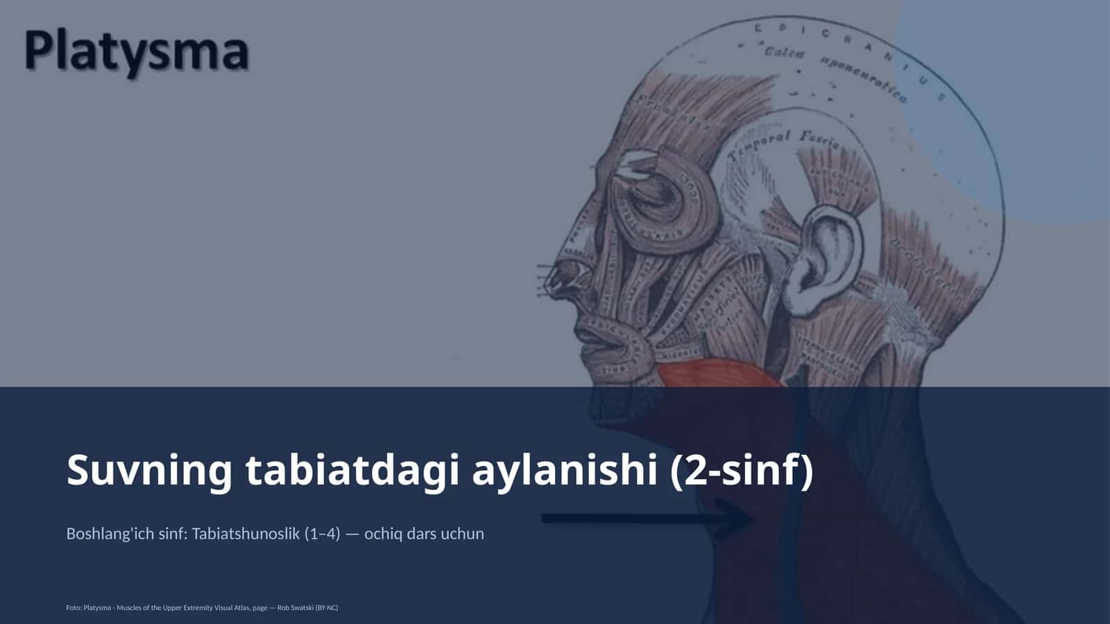 Suvning tabiatdagi aylanishi (2-sinf) 1