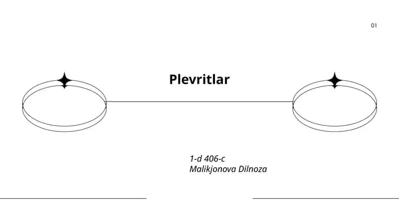 Plevritlar 1
