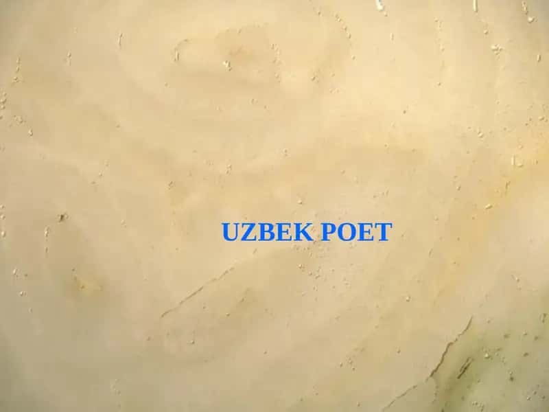 Alisher Navoi 1