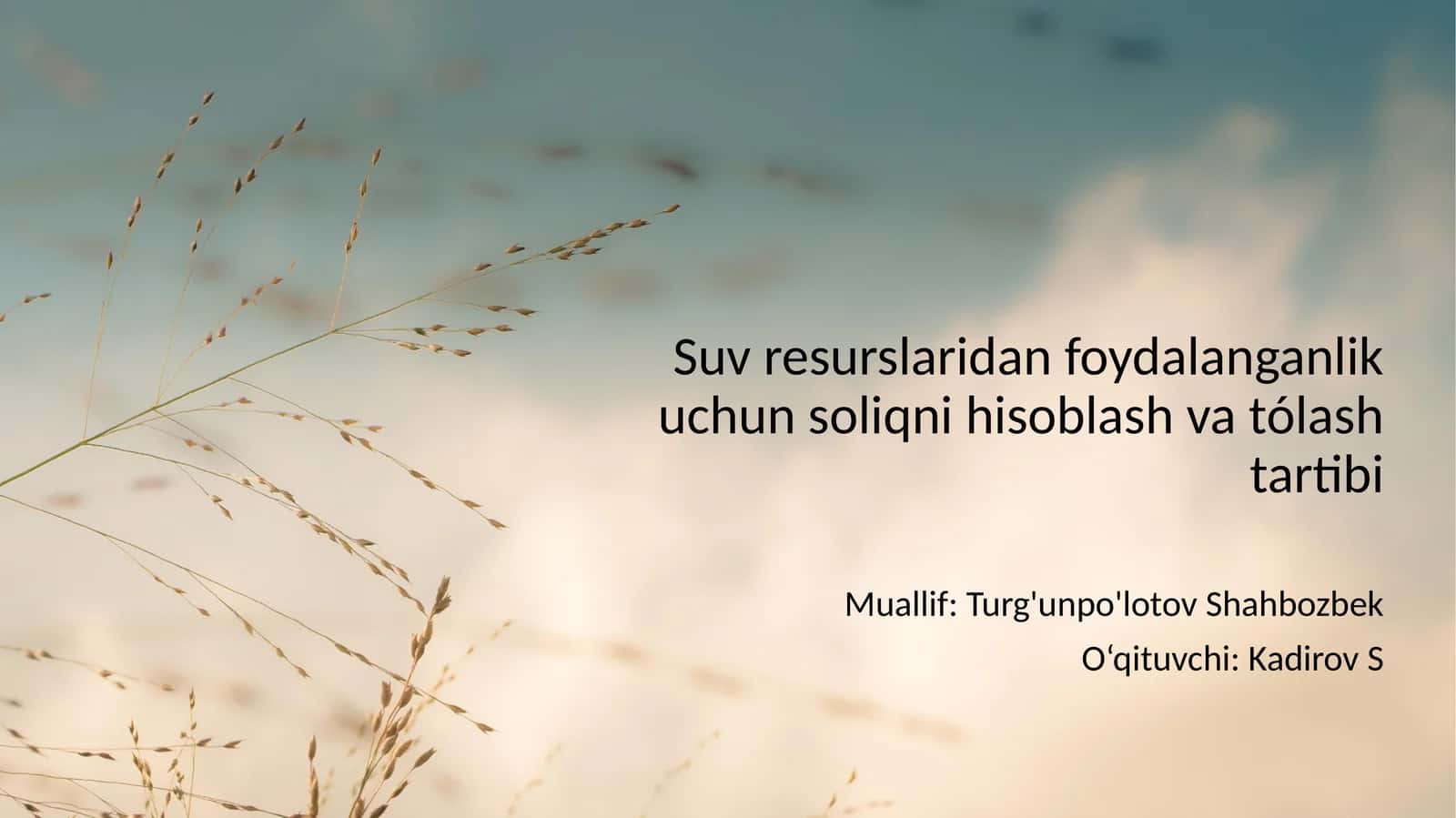 Suv resurslaridan foydalanganlik uchun soliqni hisoblash va tólash tartibi 1