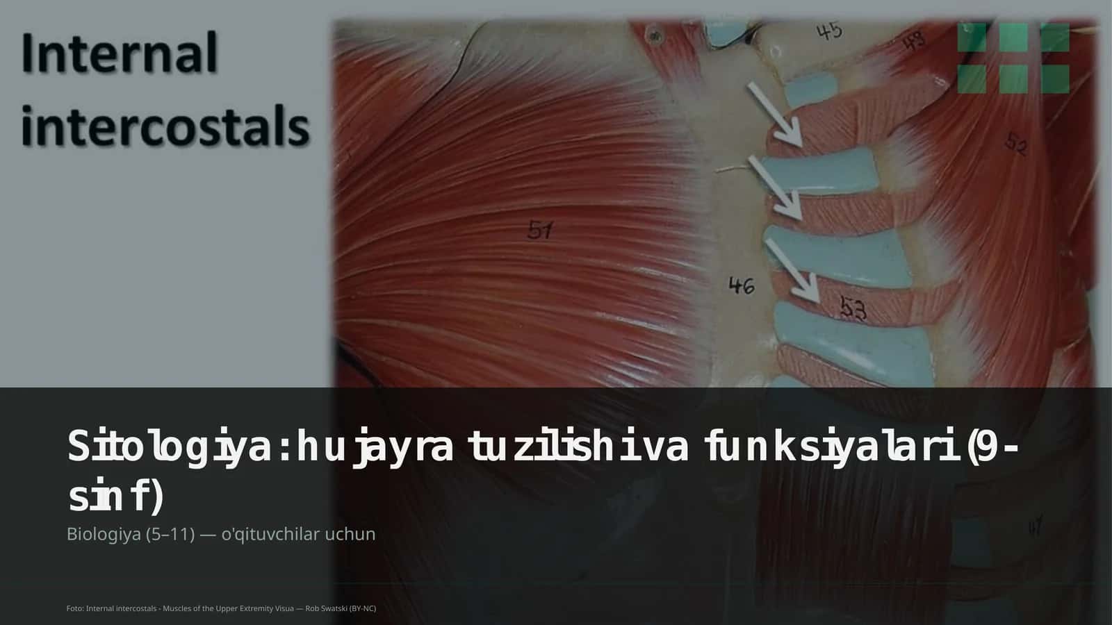 Sitologiya: hujayra tuzilishi va funksiyalari (9-sinf) 1
