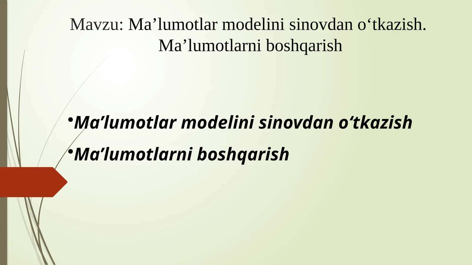 Maʼlumotlar modelini sinovdan oʻtkazish. Maʼlumotlarni boshqarish 1